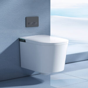 Wall-Hung Toilet Concealed Cistern Frames - High & Low Profiles
