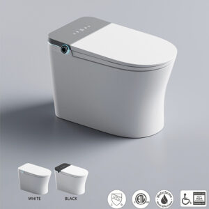 Modern Two-Tone Smart Toilet - ADA Compliant with UPC & WaterSense Certification