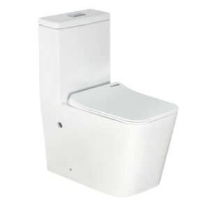 HS-0070 Modern One-Piece Toilet - Dual Trap Floor Mounted Sanitary Ware