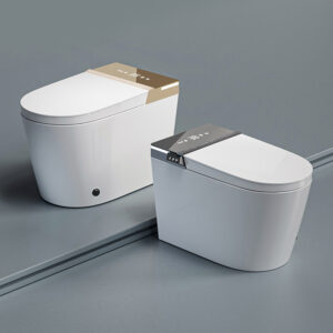 Viral Luxury Smart Toilet - Modern Home Spa Edition