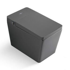 Matte Black Modern Smart Toilet - Minimalist Luxury Series