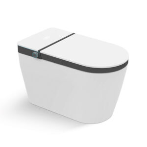 Modern Accent Smart Toilet - Sophisticated Two-Tone Design