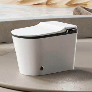 Premium Smart Toilet - Advanced Personal Hygiene System