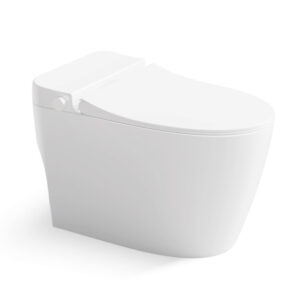 Climate-Adaptable Non-Electric Smart Toilet - Energy-Efficient Hygiene