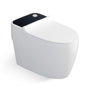 Modern Non-Electric Smart Toilet - Dual-Option Manual Series
