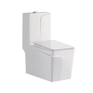 HS-0091 Modern One-Piece Toilet - Floor Mounted with Dual Trap Options