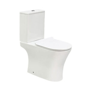 HS-7002 Two-Piece Washdown Toilet - White Ceramic, 250/180mm Rough-in