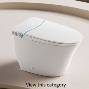 Floor-Mounted Smart Toilet