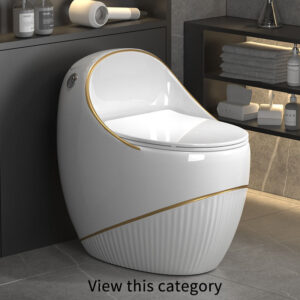 Floor-Mounted Toilet